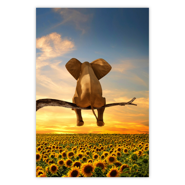 Poster Elephant and Sunflowers [Poster] 142861