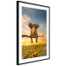 Poster Elephant and Sunflowers [Poster] 142861 additionalThumb 6