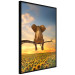 Poster Elephant and Sunflowers [Poster] 142861 additionalThumb 5