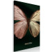 Canvas Butterfly - Insect With Unusual Wings on a Dark Green Background 145761 additionalThumb 2
