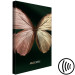 Canvas Butterfly - Insect With Unusual Wings on a Dark Green Background 145761 additionalThumb 6