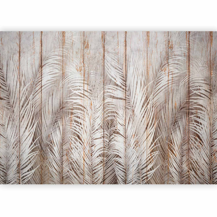 Wall Mural Beige Exotic - White Palm Leaves on the Background of Light Boards 147661 additionalImage 1