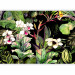 Photo Wallpaper Tropical Jungle - Watercolor Flowers, Plants in Warm Tones 150561 additionalThumb 5