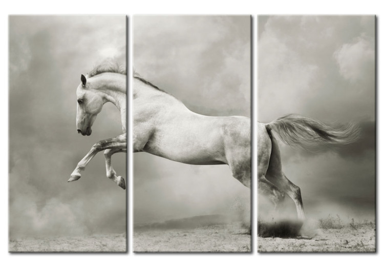 Canvas Print A white horse in motion 58661