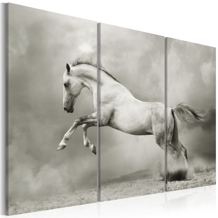 Canvas Print A white horse in motion 58661 additionalImage 2