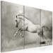 Canvas Print A white horse in motion 58661 additionalThumb 2