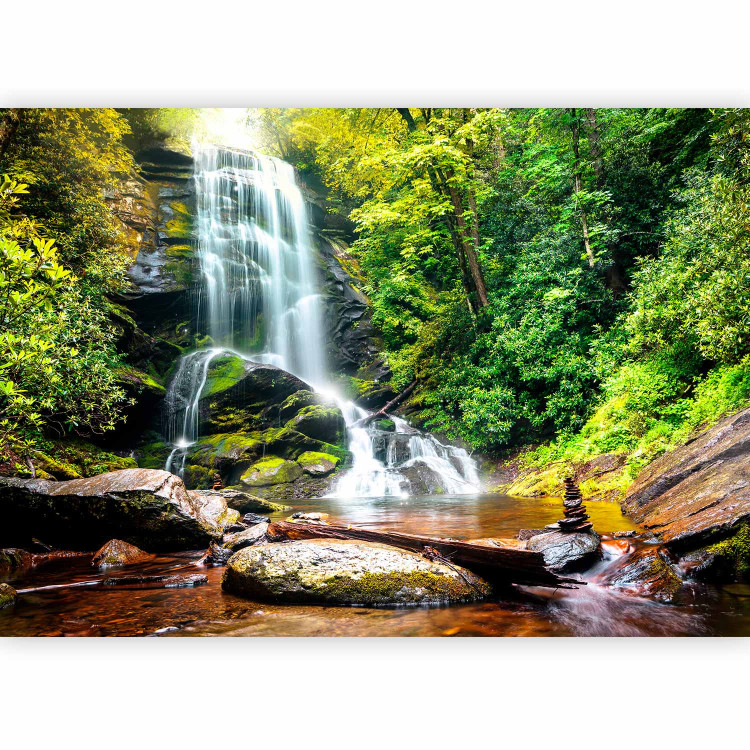 Photo Wallpaper Marvel of Nature - Landscape of Waterfall Flowing over Rocks in the Middle of the Forest 60061 additionalImage 1