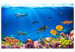 Photo Wallpaper Underwater kingdom 61261 additionalThumb 1