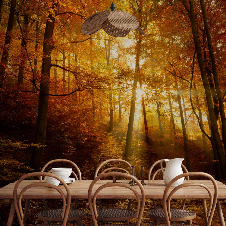 Wall Mural Autumn landscape - trees with yellow leaves in sunlight 92061 additionalImage 6
