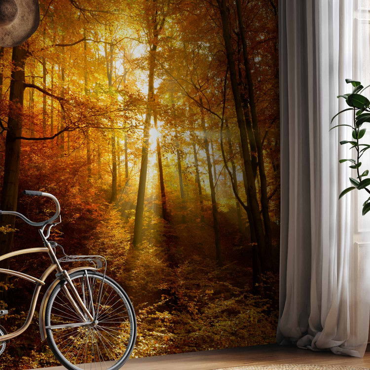 Wall Mural Autumn landscape - trees with yellow leaves in sunlight 92061 additionalImage 7
