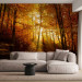 Wall Mural Autumn landscape - trees with yellow leaves in sunlight 92061
