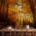 Wall Mural Autumn landscape - trees with yellow leaves in sunlight 92061 additionalThumb 6
