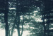 Canvas Print Dark Forest (5 Parts) Narrow 107771 additionalThumb 4