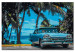 Paint by number Car under Palm Trees 114171 additionalThumb 6