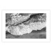 Poster Tide - black and white beach and sea landscape seen from a bird's eye view 115171 additionalThumb 25