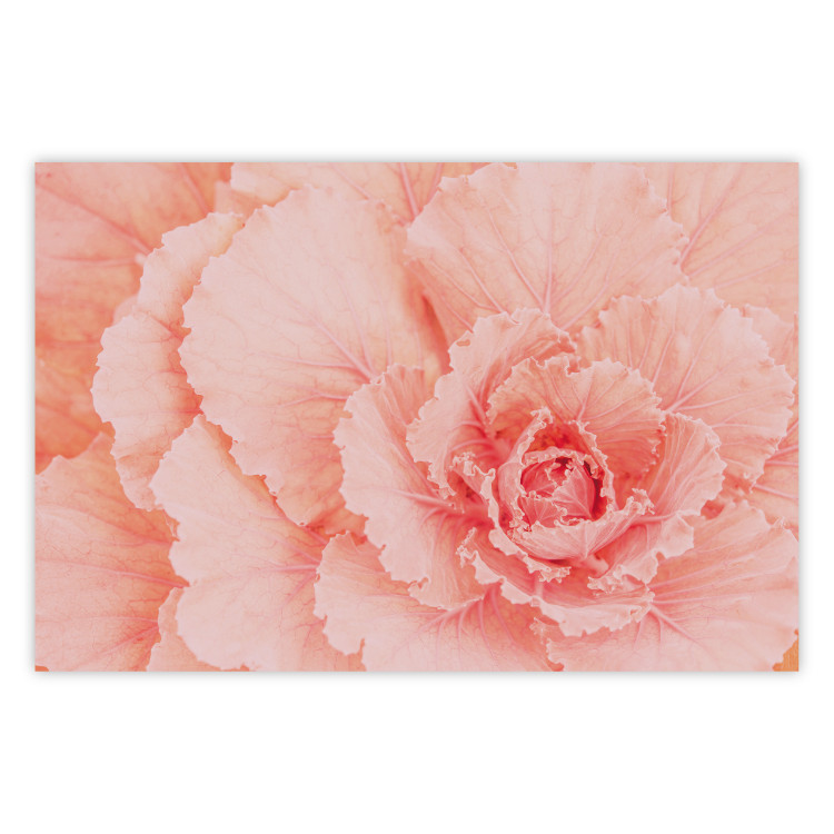 Wall Poster Artistry of Delicacy - unique composition with pink flower petals 117771