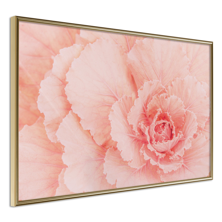 Wall Poster Artistry of Delicacy - unique composition with pink flower petals 117771 additionalImage 12