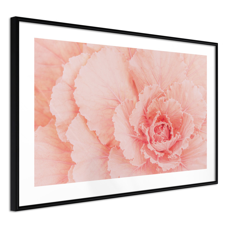 Wall Poster Artistry of Delicacy - unique composition with pink flower petals 117771 additionalImage 11
