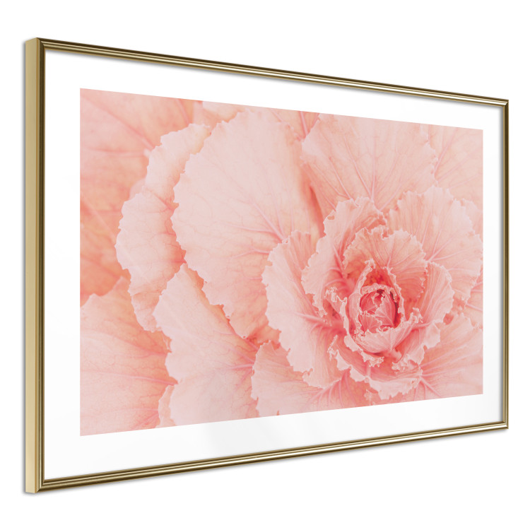 Wall Poster Artistry of Delicacy - unique composition with pink flower petals 117771 additionalImage 6