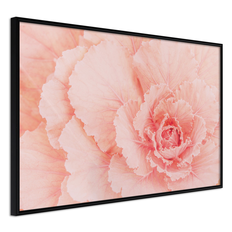 Wall Poster Artistry of Delicacy - unique composition with pink flower petals 117771 additionalImage 10