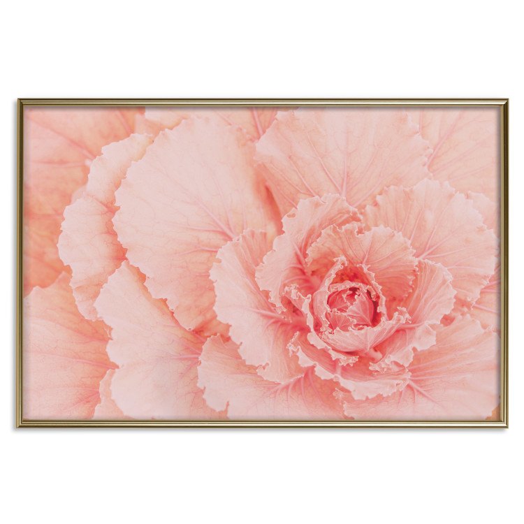 Wall Poster Artistry of Delicacy - unique composition with pink flower petals 117771 additionalImage 18