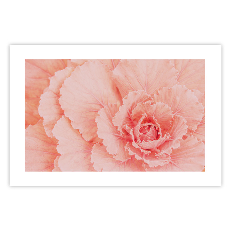 Wall Poster Artistry of Delicacy - unique composition with pink flower petals 117771 additionalImage 16