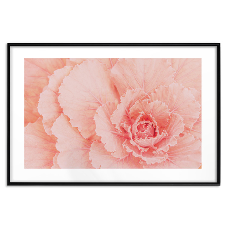 Wall Poster Artistry of Delicacy - unique composition with pink flower petals 117771 additionalImage 19