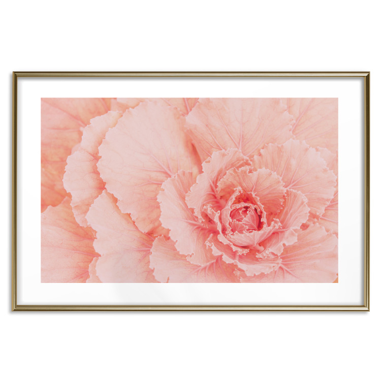 Wall Poster Artistry of Delicacy - unique composition with pink flower petals 117771 additionalImage 20