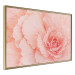 Wall Poster Artistry of Delicacy - unique composition with pink flower petals 117771 additionalThumb 12