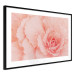 Wall Poster Artistry of Delicacy - unique composition with pink flower petals 117771 additionalThumb 11
