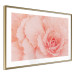 Wall Poster Artistry of Delicacy - unique composition with pink flower petals 117771 additionalThumb 6