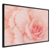Wall Poster Artistry of Delicacy - unique composition with pink flower petals 117771 additionalThumb 10