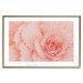Wall Poster Artistry of Delicacy - unique composition with pink flower petals 117771 additionalThumb 20