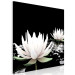 Canvas Print Lotus Flowers (1 Part) Square 121871 additionalThumb 2