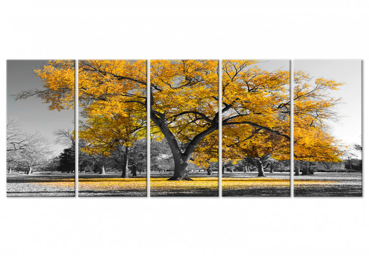 Canvas Art Print The oldest tree - autumn landscape, tree and golden leaves 122771