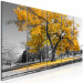 Canvas Art Print The oldest tree - autumn landscape, tree and golden leaves 122771 additionalThumb 2
