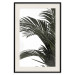 Wall Poster Jungle Treasures - green leaves of tropical plant on white background 123671 additionalThumb 18