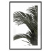 Wall Poster Jungle Treasures - green leaves of tropical plant on white background 123671 additionalThumb 17