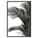 Wall Poster Jungle Treasures - green leaves of tropical plant on white background 123671 additionalThumb 24