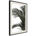 Wall Poster Jungle Treasures - green leaves of tropical plant on white background 123671 additionalThumb 3