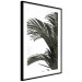Wall Poster Jungle Treasures - green leaves of tropical plant on white background 123671 additionalThumb 13