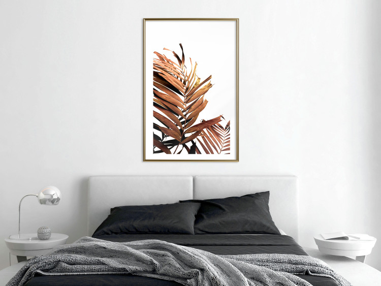 Poster Sunny Effect - tropical leaf in brown hue on white background 123771 additionalImage 15