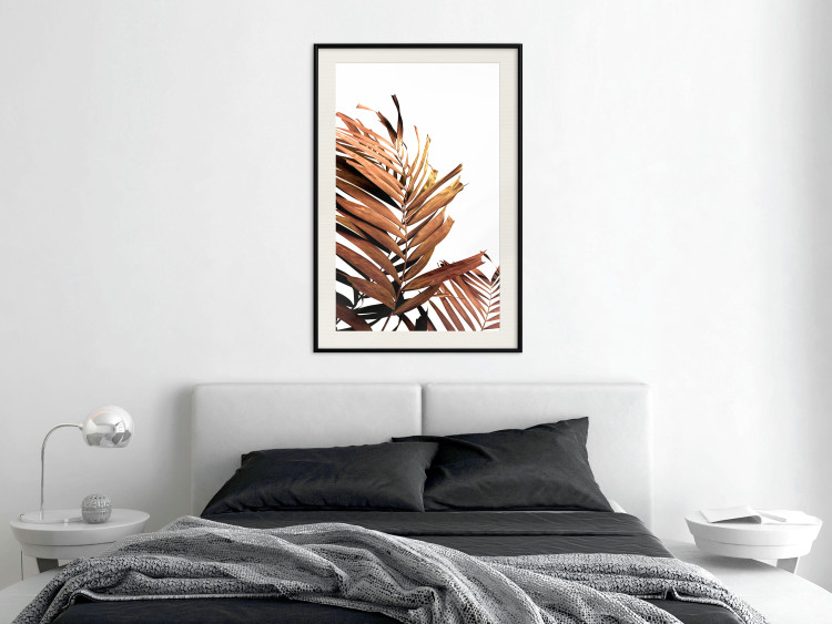 Poster Sunny Effect - tropical leaf in brown hue on white background 123771 additionalImage 22