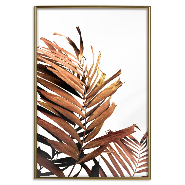 Poster Sunny Effect - tropical leaf in brown hue on white background 123771 additionalImage 20