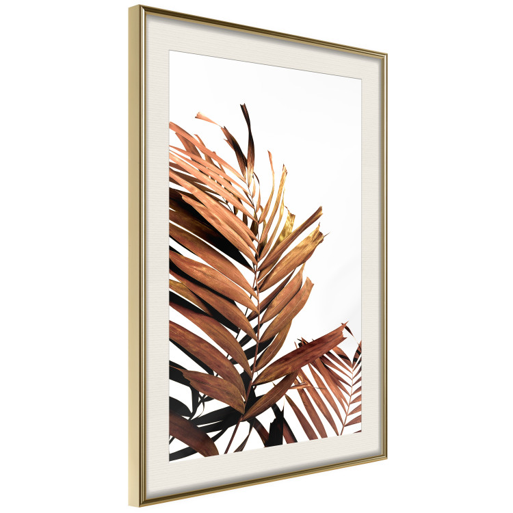 Poster Sunny Effect - tropical leaf in brown hue on white background 123771 additionalImage 2