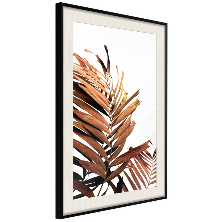 Poster Sunny Effect - tropical leaf in brown hue on white background 123771 additionalImage 3