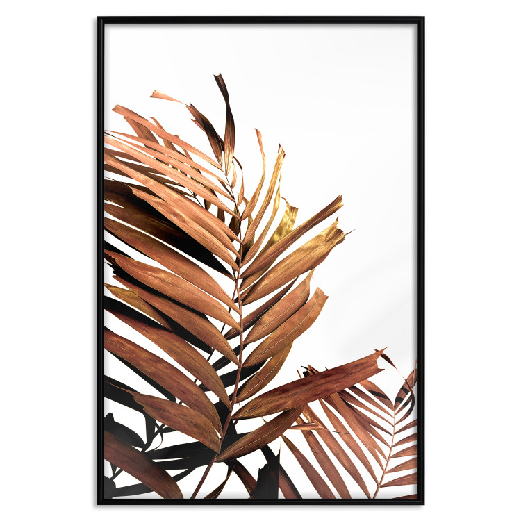 Poster Sunny Effect - tropical leaf in brown hue on white background 123771 additionalImage 24