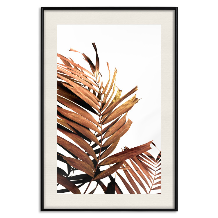 Poster Sunny Effect - tropical leaf in brown hue on white background 123771 additionalImage 18