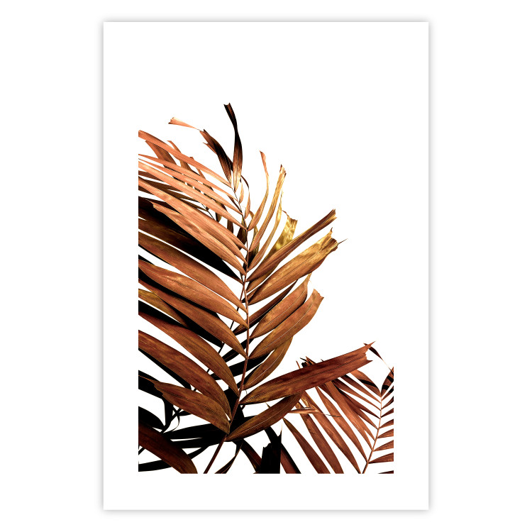 Poster Sunny Effect - tropical leaf in brown hue on white background 123771 additionalImage 25