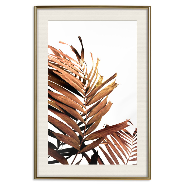 Poster Sunny Effect - tropical leaf in brown hue on white background 123771 additionalImage 19